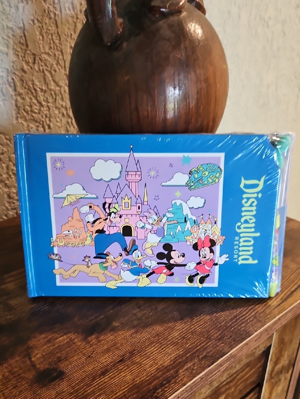 Disney Blue Disneyland Resort Kids Picture Book with Classic Characters